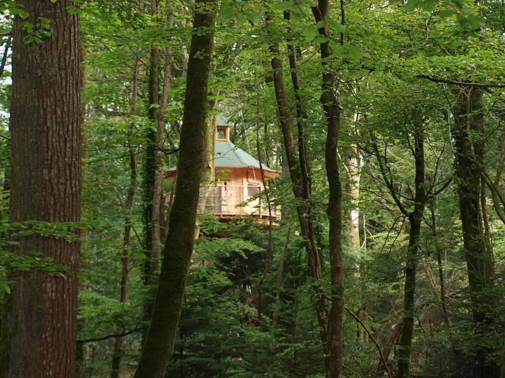Les cabanes de Kermenguy Cléder Habitación foto